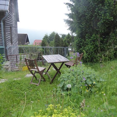 Haus Bergwiese - Fuer Naturfreunde, Familien, Wanderer Gehlberg Exterior photo